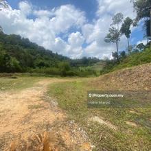 Tanah cantik rata di Janda Baik, Bentong Pahang Freehold