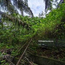 Ulu Benut Simpang Renggam Residential Land