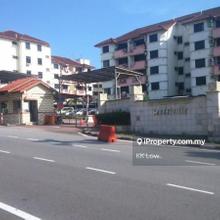 Lelong 2nd Jul 2025