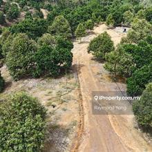 Land for sale