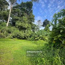 Nong Chik 13738 Sqft Land