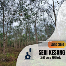 Agriculture Land 3.93 Ekar Tanah Pokok Getah Seri Kesang Jasin Melaka