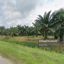 Telok Panglima Garang Agriculture Land For Sale 