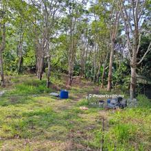 Jelebu Mukim Ulu Triang Chenerak 10 Acres Agriculture Land for Sale