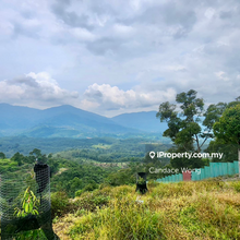 Scenic High Hill Agri Land with Nice View - 9.16 Acres Freehold