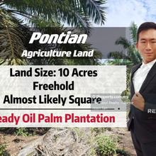 Pontian Agriculture Land