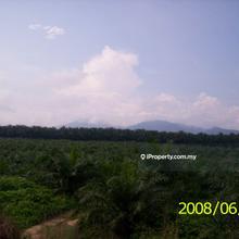 Agriculture land for Sale