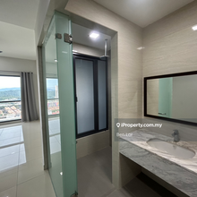 Cyperus Tropicana Garden