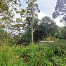 8.5 Acres Durian Old Tree Farm Bukit Relau Balik Pulau
