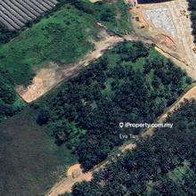 Pekan Nanas Ulu Choh Industrial Land