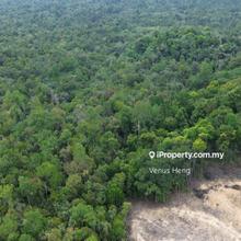 8,56 Agriculture Land Banggul Kemaman