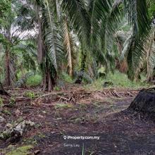 Near Ayer Baloi, Pontian - Agricultural land for Sale 