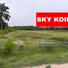 Agricultural Land At Juru For Rent