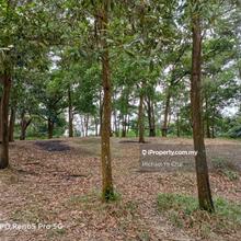 Agriculture Land for sale