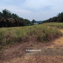 For Sale 9.1 Acres Agriculture Land @ Sedenak, Kulai
