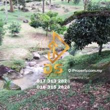 Agriculture land for Sale