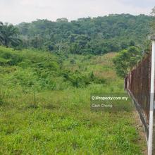 Agriculture Land for Sell 