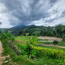 Agricultural Land @ Bukit Tinngi