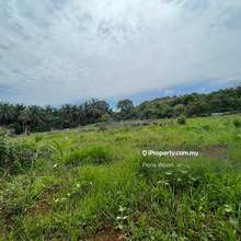 Flat Land Agriculture Land For Rent Masjid Tanah, Alor Gajah Malaka