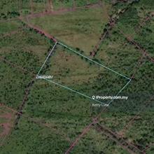 For Rent Membakut Land, in Bongawan, near Beaufort