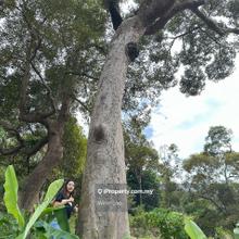 Teluk Kumbar Penang Agricultural Land for Sale