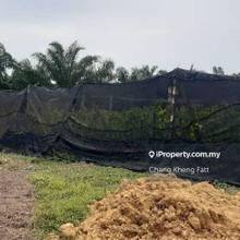 Agricultural Land at Morib, Kuala Langat for Sale