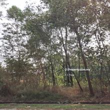 Agriculture Land for sale,freehold,zoning industrial,flat and nice 