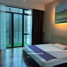 The Light Collection 2 For Rent