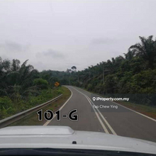 Cheap Rm2.18psf!! Kuala Lipis, Pahang Palm Oil Land with Road Access 