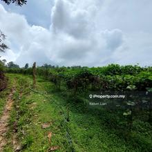 Agriculture land for Sale