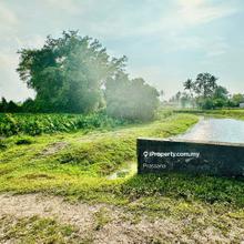 1.08 Ekar Tanah Dusun @ Kg Ayer Itam, Tasek Gelugor