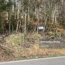 Matured Rubber plantation for sale