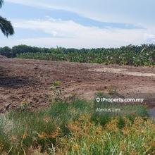 For Sale - Agriculture Land @ Tanjung Bin. Kukup (Near Pulai Bridge)