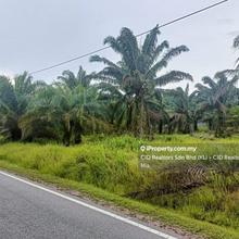 Industrial land for Sale