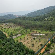 Broga Super Cheap Land For Sale 