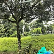 Tropicana Land 10ksf Golfview near Golfclub, St Joseph, Giza, Ikea