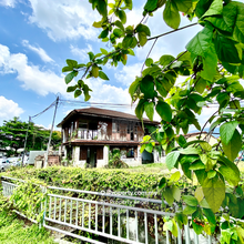 Prominent Corner Property on Macalister & Barrack Road in George Town