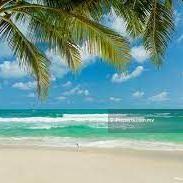 Commercial land for Sale