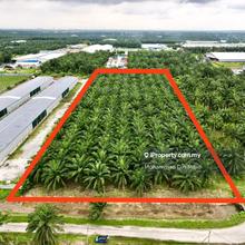 5.05 Acres, Freehold, Industry Zoning, Telok Panglima Garang
