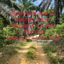 Machap, Johor 