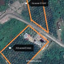 Pekan agriculture land with oil palm tree & birdfarm building
