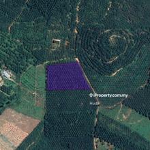 4 ac Agricultural land for sale in Slim Village