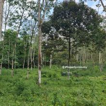 Agriculture Land For Sale @ Mukim Setul , Pajam Nilai 