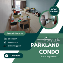 Good Low Rental Price Fully Furnish Parkland Residence Condo Bachang
