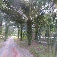 Johor simpang renggan kawasan perindustrian iks 41 acres residential 