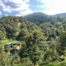 Agriculture land for Sale