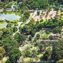 2.7 acres Mature Durian Orchard with 146 Durian Trees!
