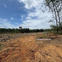 Durian Tunggal Freehold Agriculture Land Below Bank Value 