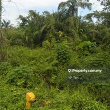 Zoning Industrial Land For Sell Sungai rambai Telok Mengkuang Sekupi