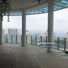Duplex penthouse with great view